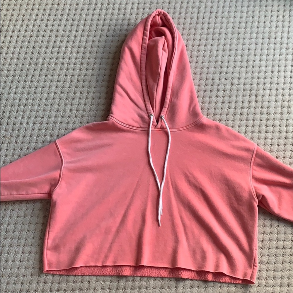 wild fable cropped hoodie